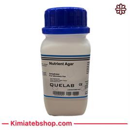 Nutrient Agar